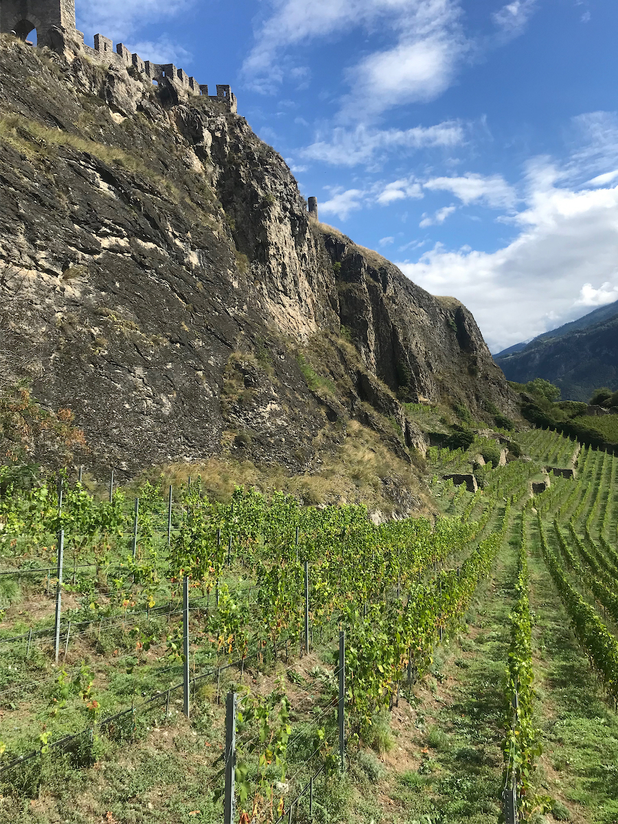 Château de Tourbillon and vineyards, Sion, Valais photo © Thomas Deckker 2023